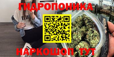 mdpv Гатчина