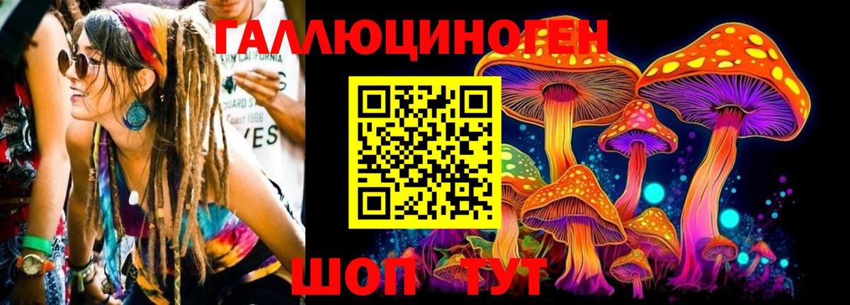Галлюциногенные грибы Psilocybe  Вход с VPN  Ногинск  Псилоцибиновые грибы GOLDEN TEACHER 