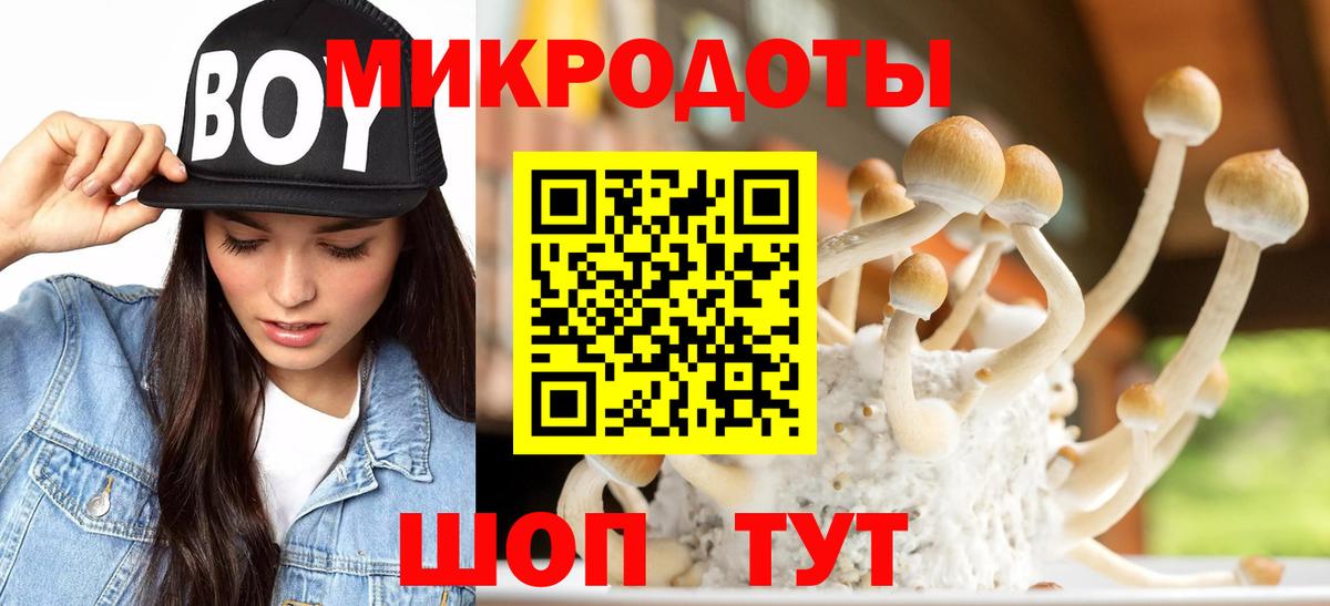 Галлюциногенные грибы Cubensis Ногинск
